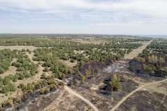 2019-04-20-lot-dronem-w-Bydgoszczy-w-Fordonie-kolo-Doliny-Smierci-po-pozarze_173