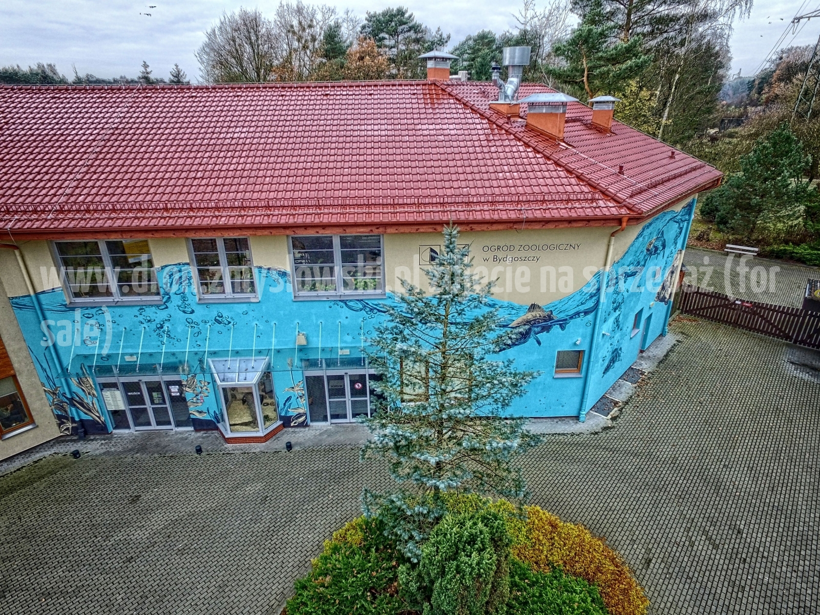 2017-11-18-lot-dronem-w-Myslecinku-zoo-akwarium-terrarium-dzialki-park-016_HDR
