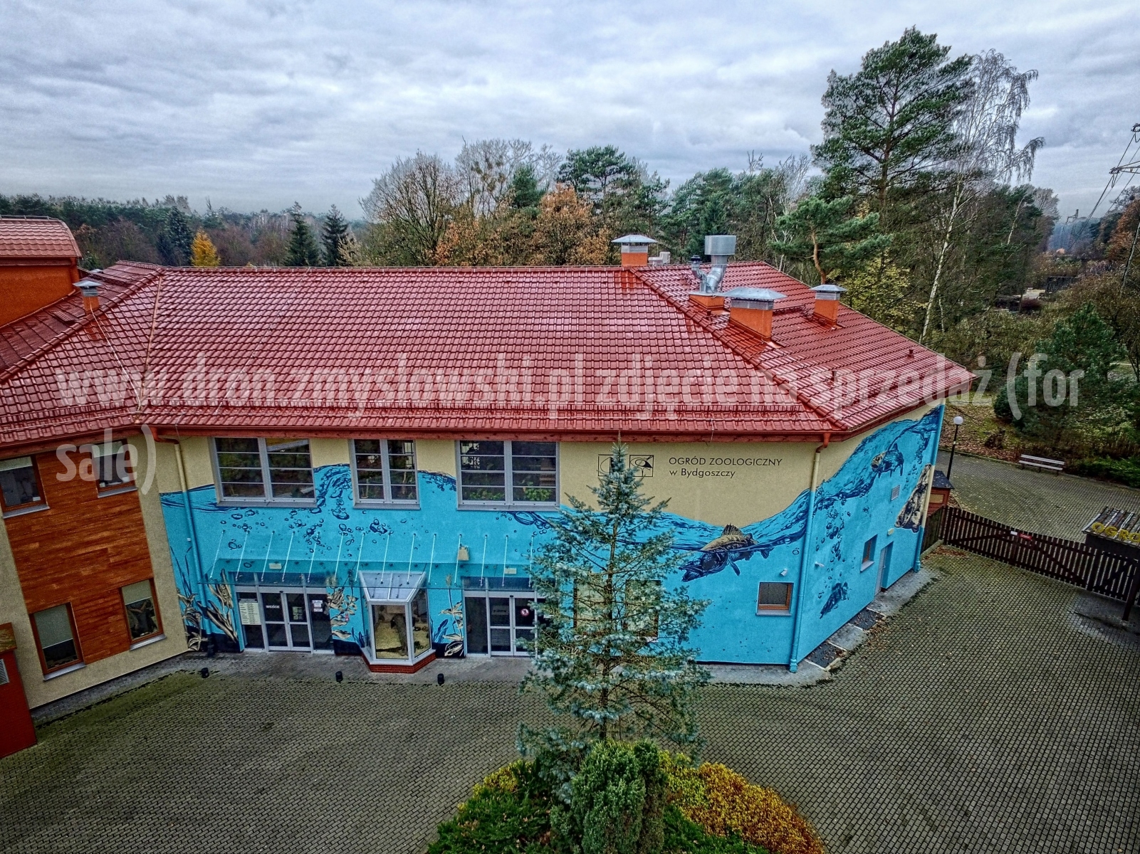 2017-11-18-lot-dronem-w-Myslecinku-zoo-akwarium-terrarium-dzialki-park-020_HDR