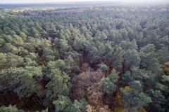 2017-11-12-lot-dronem-w-Myslecinku-gorka-dom-ekologicznymostek-kolo-gorki-myslecinskiej_066