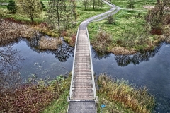 2017-11-13-lot-dronem-w-Myslecinku-petla-autobusowa-pomost-mostek-019_HDR_wyprostowany_horyzont