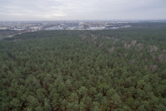 2017-11-18-lot-dronem-w-Myslecinku-zoo-akwarium-terrarium-dzialki-park-dinozaurow-sciezka-rowerowa_024