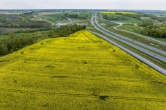 2024-04-28-lot-dronem-w-Grucznie-nad-polem-rzepaku-i-sesja-zdjeciowa-z-udzialem-naszego-nowego-auta_806