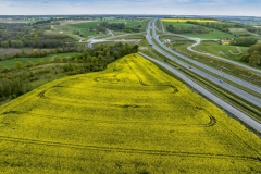 2024-04-28-lot-dronem-w-Grucznie-nad-polem-rzepaku-i-sesja-zdjeciowa-z-udzialem-naszego-nowego-auta_817