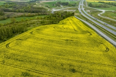 2024-04-28-lot-dronem-w-Grucznie-nad-polem-rzepaku-i-sesja-zdjeciowa-z-udzialem-naszego-nowego-auta_823