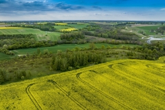 2024-04-28-lot-dronem-w-Grucznie-nad-polem-rzepaku-i-sesja-zdjeciowa-z-udzialem-naszego-nowego-auta_828