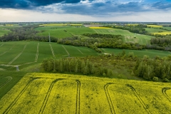 2024-04-28-lot-dronem-w-Grucznie-nad-polem-rzepaku-i-sesja-zdjeciowa-z-udzialem-naszego-nowego-auta_833