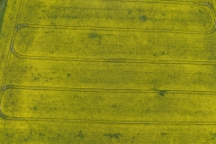 2024-04-28-lot-dronem-w-Grucznie-nad-polem-rzepaku-i-sesja-zdjeciowa-z-udzialem-naszego-nowego-auta_849