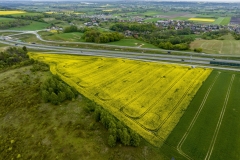 2024-04-28-lot-dronem-w-Grucznie-nad-polem-rzepaku-i-sesja-zdjeciowa-z-udzialem-naszego-nowego-auta_906
