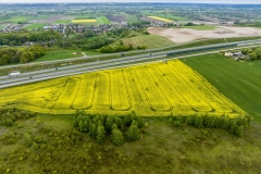 2024-04-28-lot-dronem-w-Grucznie-nad-polem-rzepaku-i-sesja-zdjeciowa-z-udzialem-naszego-nowego-auta_912