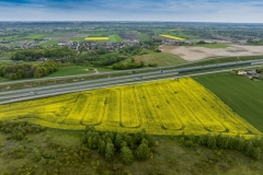 2024-04-28-lot-dronem-w-Grucznie-nad-polem-rzepaku-i-sesja-zdjeciowa-z-udzialem-naszego-nowego-auta_919