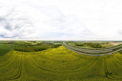 2024-04-28-lot-dronem-w-Grucznie-nad-polem-rzepaku-panorama_001