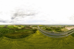 2024-04-28-lot-dronem-w-Grucznie-nad-polem-rzepaku-panorama_002