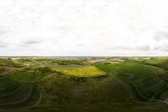 2024-04-28-lot-dronem-w-Grucznie-nad-polem-rzepaku-panorama_003