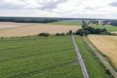 2019-07-09-lot-dronem-w-Buchten-w-Niemczech_101