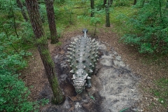 2020-06-21-lot-dronem-w-parku-dinozaurow-w-Solcu-Kujawskim-w-JuraParku_023_HDR