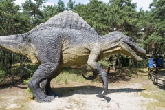 2020-06-21-lot-dronem-w-parku-dinozaurow-w-Solcu-Kujawskim-w-JuraParku_169