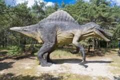 2020-06-21-lot-dronem-w-parku-dinozaurow-w-Solcu-Kujawskim-w-JuraParku_175