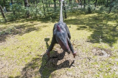 2020-06-21-lot-dronem-w-parku-dinozaurow-w-Solcu-Kujawskim-w-JuraParku_201
