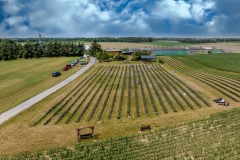 2024-06-30-lot-dronem-w-Lavendogrodzie-Krolewskim_585