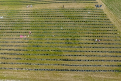 2024-06-30-lot-dronem-w-Lavendogrodzie-Krolewskim_604