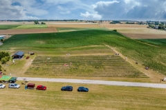 2024-06-30-lot-dronem-w-Lavendogrodzie-Krolewskim_610