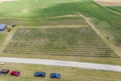 2024-06-30-lot-dronem-w-Lavendogrodzie-Krolewskim_615