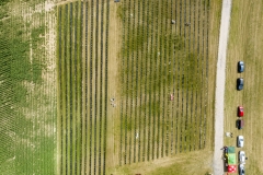 2024-06-30-lot-dronem-w-Lavendogrodzie-Krolewskim_625