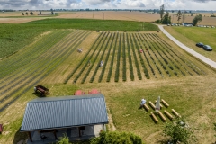 2024-06-30-lot-dronem-w-Lavendogrodzie-Krolewskim_633
