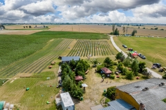 2024-06-30-lot-dronem-w-Lavendogrodzie-Krolewskim_645