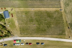 2024-06-30-lot-dronem-w-Lavendogrodzie-Krolewskim_686