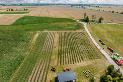 2024-06-30-lot-dronem-w-Lavendogrodzie-Krolewskim_698