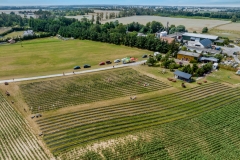 2024-06-30-lot-dronem-w-Lavendogrodzie-Krolewskim_704