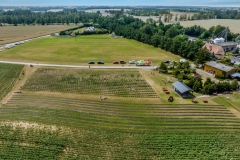 2024-06-30-lot-dronem-w-Lavendogrodzie-Krolewskim_710