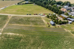 2024-06-30-lot-dronem-w-Lavendogrodzie-Krolewskim_716