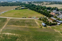 2024-06-30-lot-dronem-w-Lavendogrodzie-Krolewskim_721