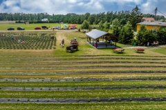 2024-06-30-lot-dronem-w-Lavendogrodzie-Krolewskim_730