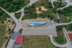 2020-08-03-lot-dronem-w-Ocean-Park-we-Wladyslawowie_010_HDR