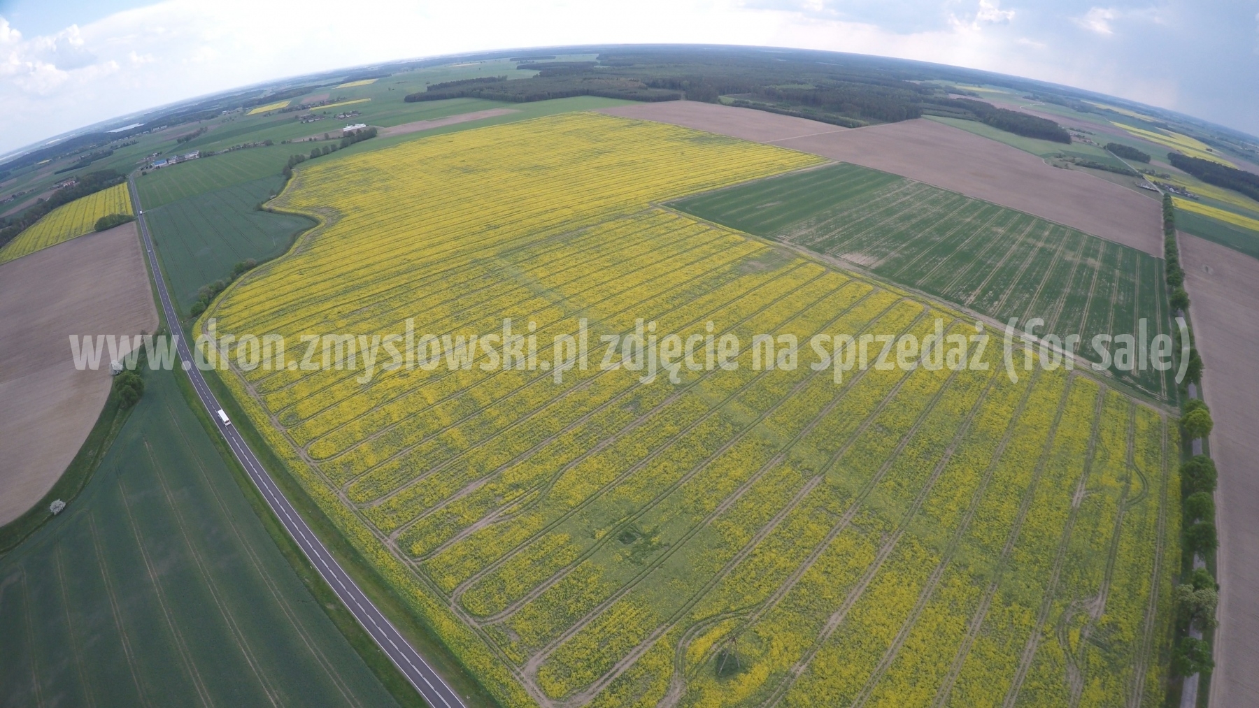 2016-05-12-lot-dronem-nad-rzepakiem-w-miejscowosci-Zamarte-001_004