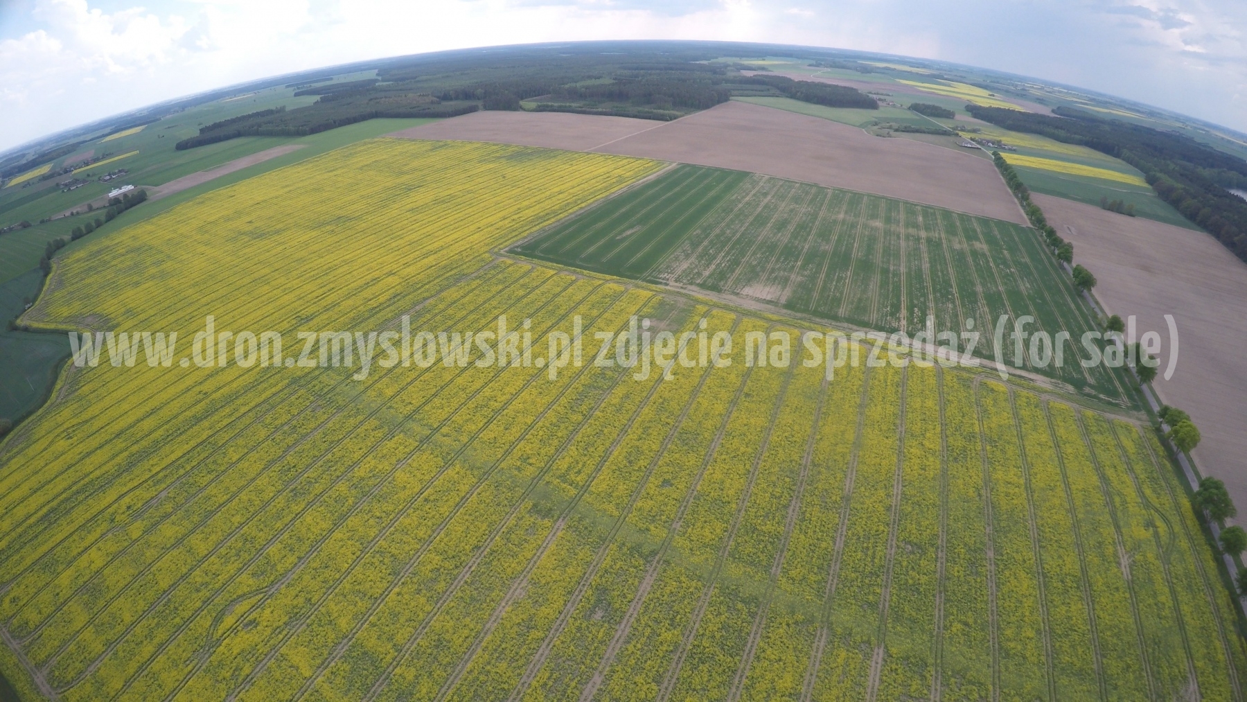 2016-05-12-lot-dronem-nad-rzepakiem-w-miejscowosci-Zamarte-001_006