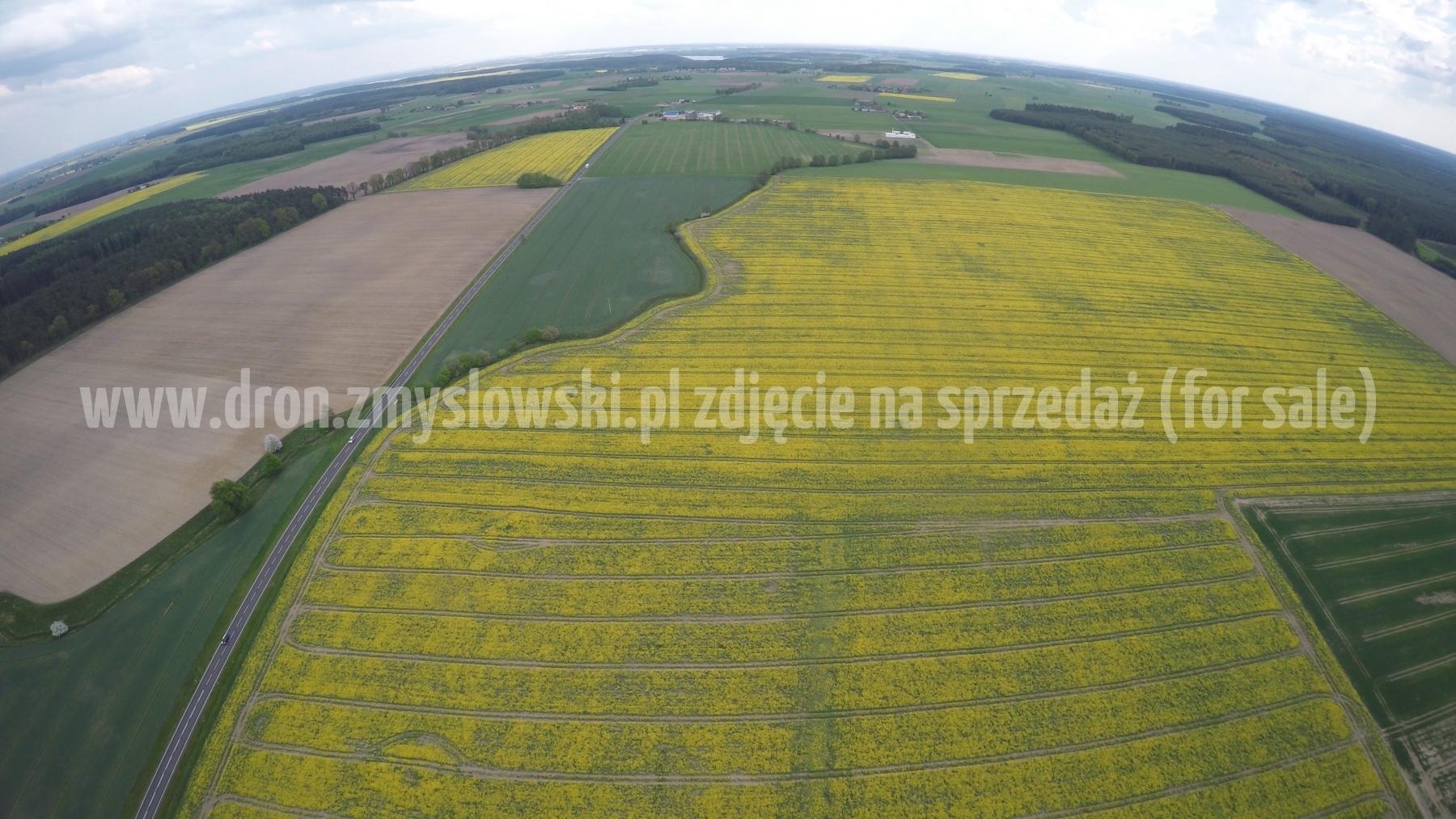2016-05-12-lot-dronem-nad-rzepakiem-w-miejscowosci-Zamarte-001_011