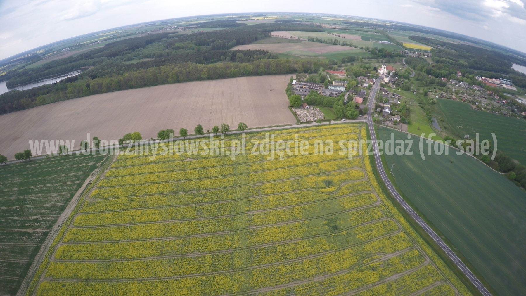 2016-05-12-lot-dronem-nad-rzepakiem-w-miejscowosci-Zamarte-001_017