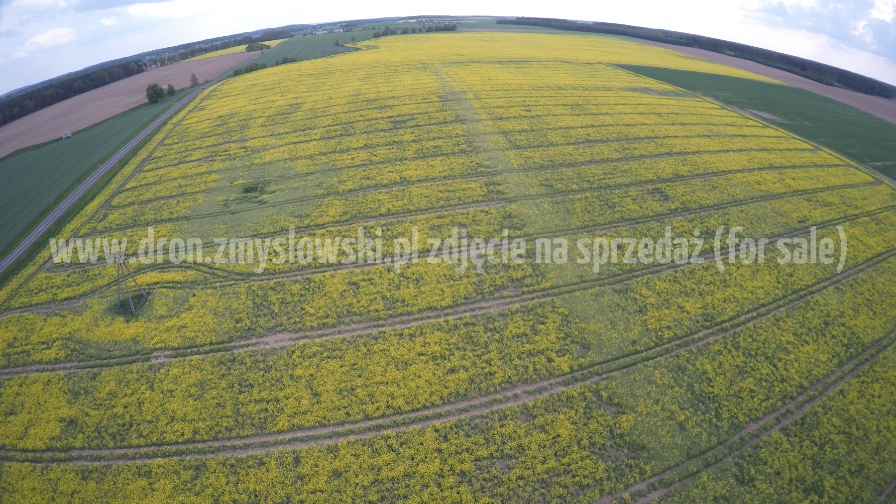 2016-05-12-lot-dronem-nad-rzepakiem-w-miejscowosci-Zamarte-001_030