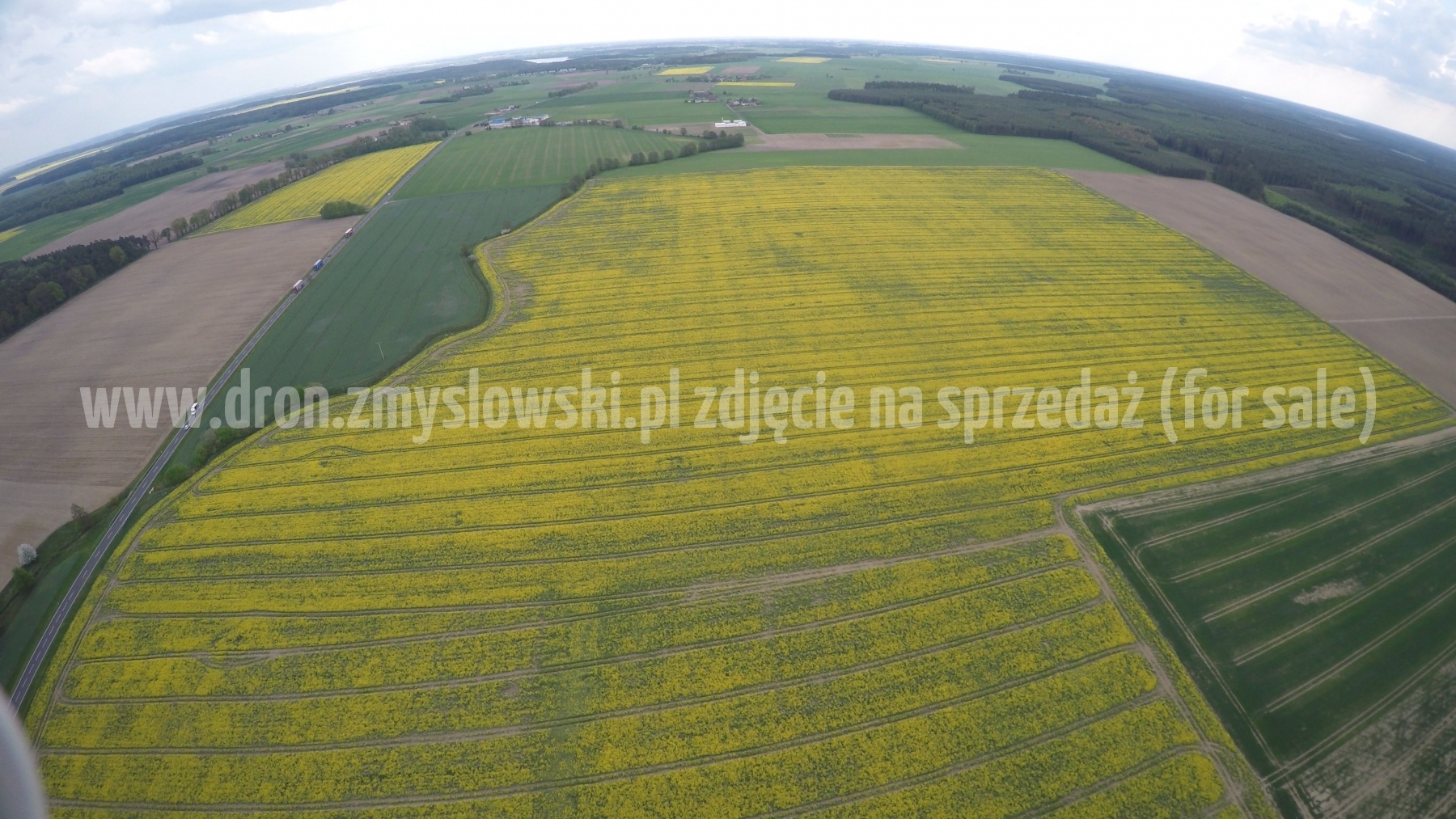 2016-05-12-lot-dronem-nad-rzepakiem-w-miejscowosci-Zamarte-001_034