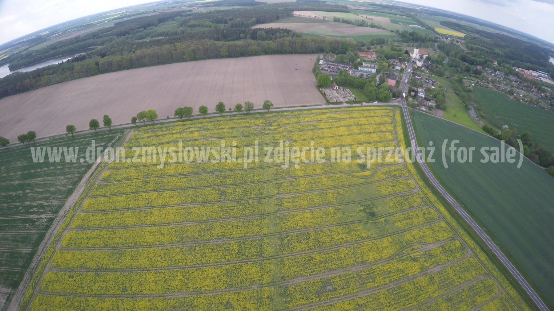 2016-05-12-lot-dronem-nad-rzepakiem-w-miejscowosci-Zamarte-001_039