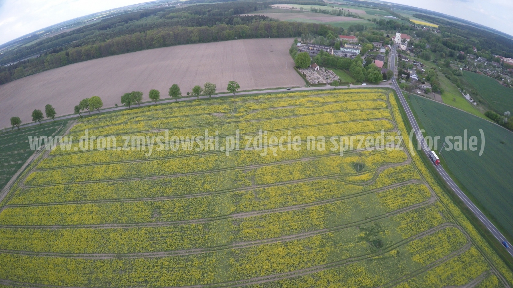2016-05-12-lot-dronem-nad-rzepakiem-w-miejscowosci-Zamarte-001_041