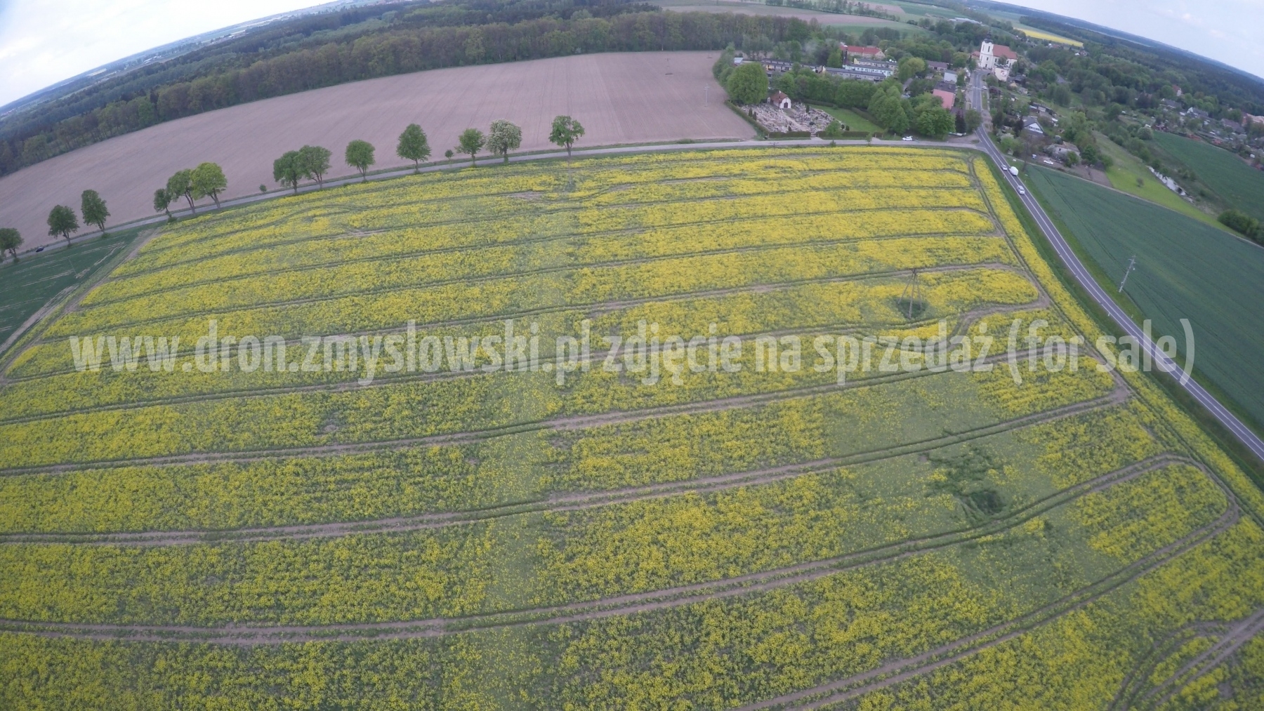 2016-05-12-lot-dronem-nad-rzepakiem-w-miejscowosci-Zamarte-001_042