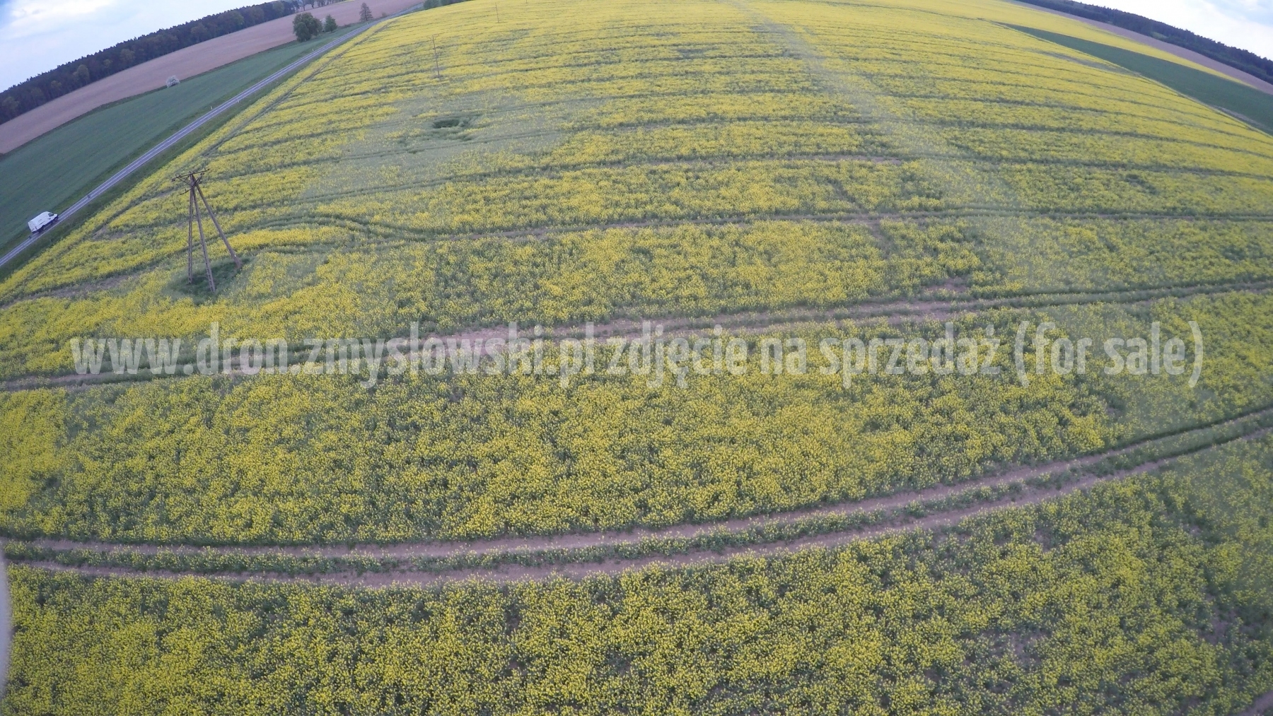 2016-05-12-lot-dronem-nad-rzepakiem-w-miejscowosci-Zamarte-001_045